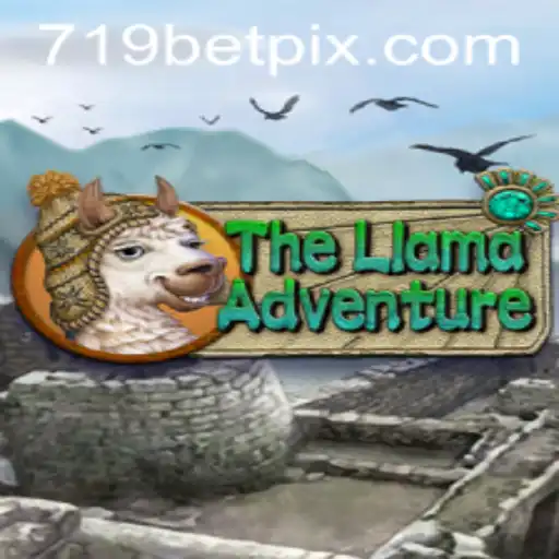 Exploring TheLlamaAdventure: A Journey into the Quirky World of 719bet